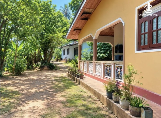 Land for Sale in Matale - Land for sale in matale - photo 5