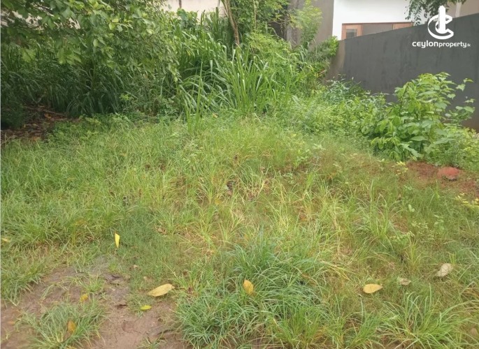 Land for Sale in Malabe - Land for sale in arangala - photo 4