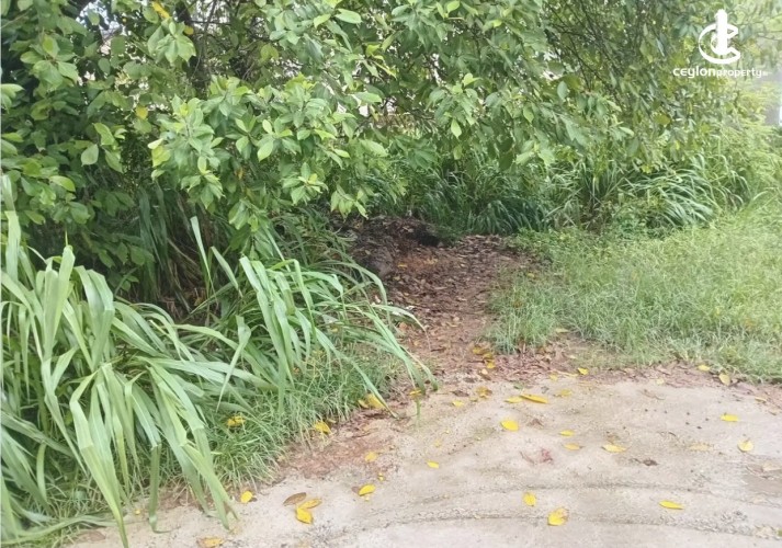 Land for Sale in Malabe - Land for sale in arangala - photo 7