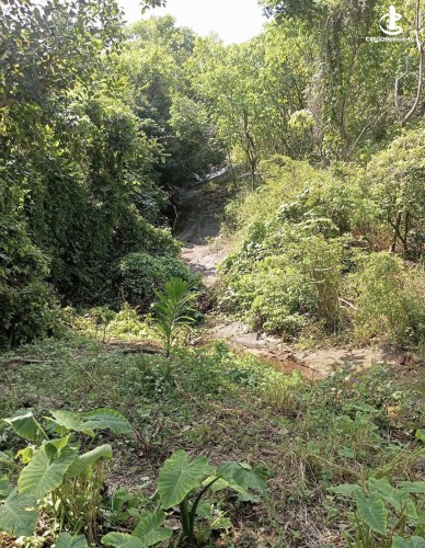 Land for Sale in Matale - Land for sale in matale - photo 4