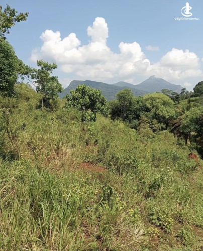 Land for Sale in Matale - Land for sale in matale - photo 5