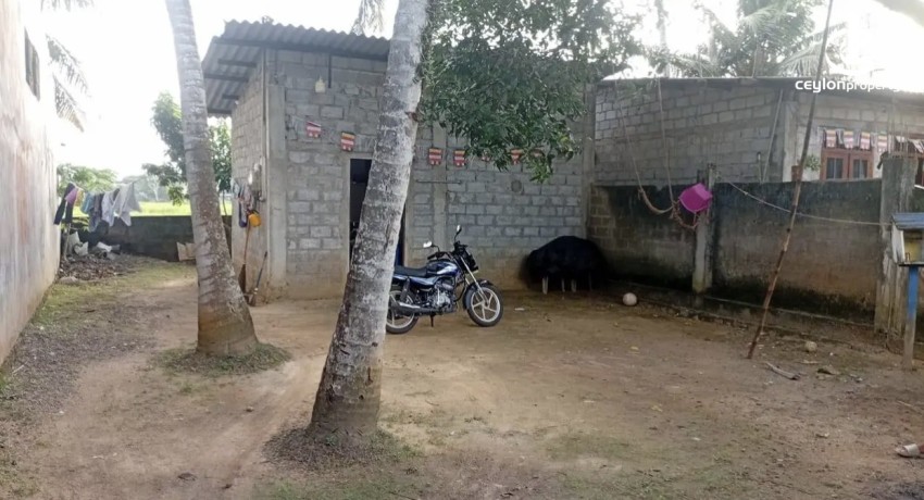 Land for Sale in Gampaha - Land for sale in gampaha - photo 1