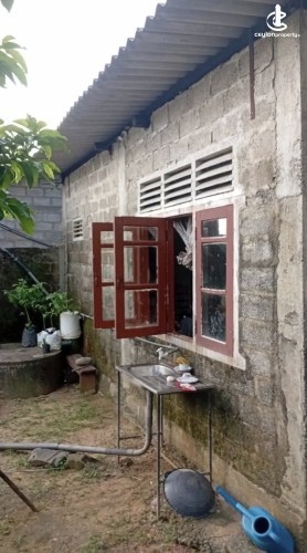 Land for Sale in Gampaha - Land for sale in gampaha - photo 2