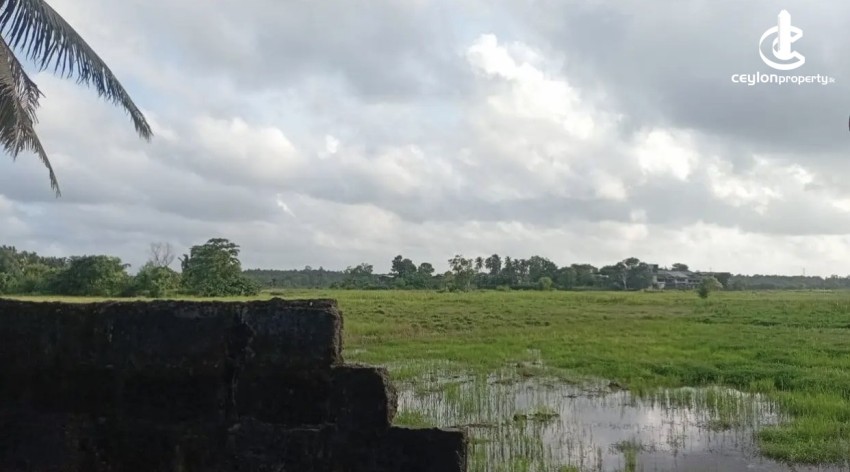 Land for Sale in Gampaha - Land for sale in gampaha - photo 3