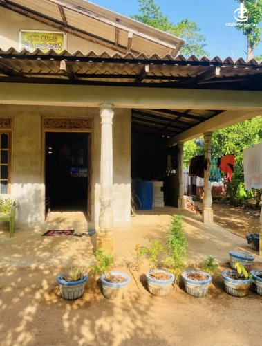 Land for Sale in Bibile - Land for sale in bibila - photo 3