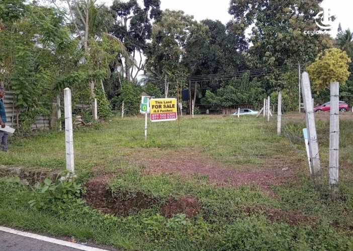 Land for Sale in Piliyandala - Land for sale in piliyandala - photo 3