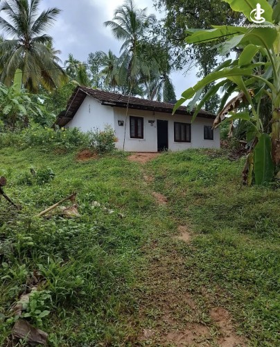 Land for Sale in Gampaha - Land for sale in mallehewa - photo 2
