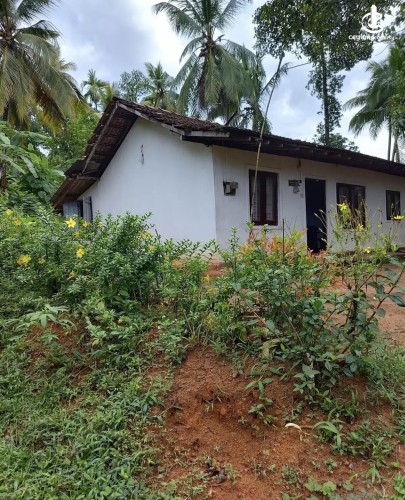 Land for Sale in Gampaha - Land for sale in mallehewa - photo 3