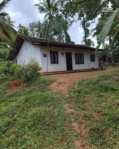 Land for Sale in Gampaha - Land for sale in mallehewa - photo 4