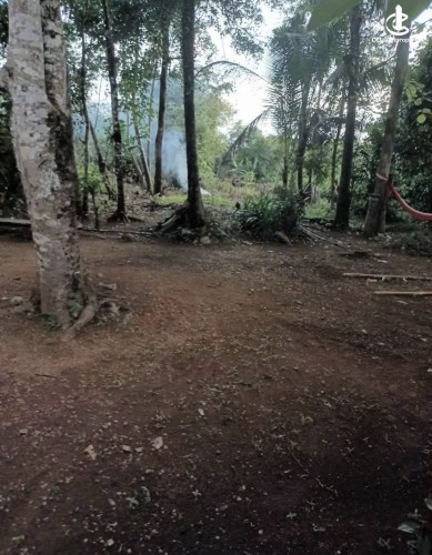 Land for Sale in Horana - Land for sale in horana - photo 4