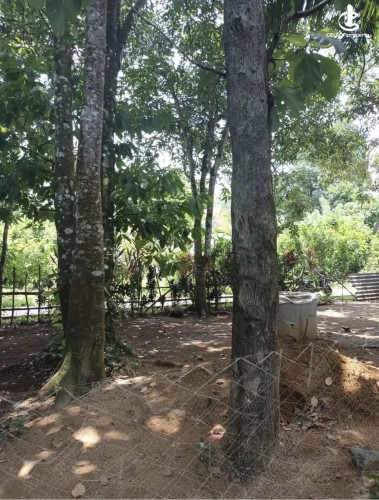 Land for Sale in Horana - Land for sale in horana - photo 5