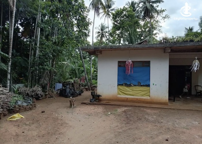 Land for Sale in Dodangaslanda - Land for sale in dodamgaslanda - photo 2