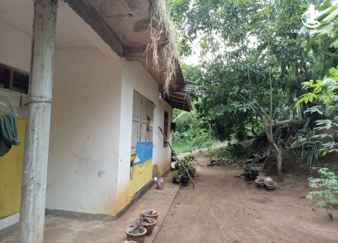 Land for Sale in Dodangaslanda - Land for sale in dodamgaslanda - photo 3