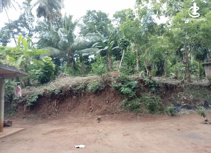 Land for Sale in Dodangaslanda - Land for sale in dodamgaslanda - photo 7