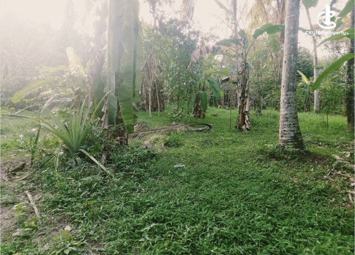 Land for Sale in Katunayake - Land for sale in katunayaka - photo 1