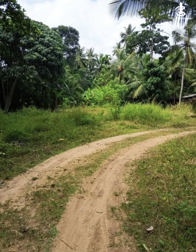 Land for Sale in Katunayake - Land for sale in karumayaka - photo 4