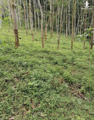 Land for Sale in Padukka - Land for sale in meepe - photo 2