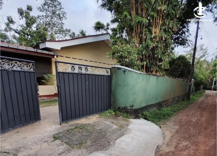 Land for Sale in Kalutara - Land for sale in kaluthara - photo 1