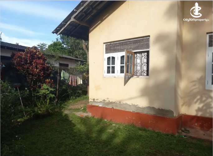 Land for Sale in Panadura - Land for sale in panadura - photo 1