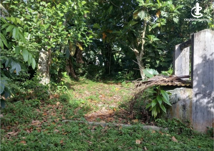 Land for Sale in Panadura - Land for sale in panadura - photo 2
