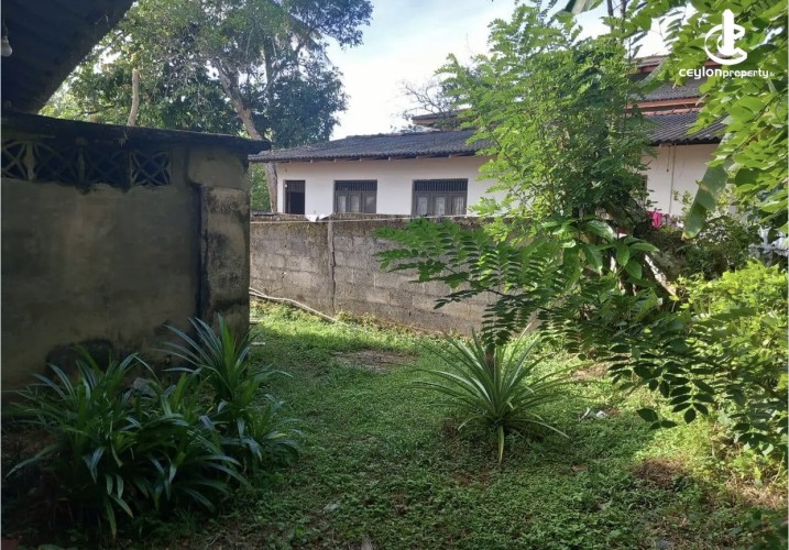 Land for Sale in Panadura - Land for sale in panadura - photo 3