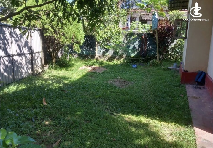 Land for Sale in Panadura - Land for sale in panadura - photo 4