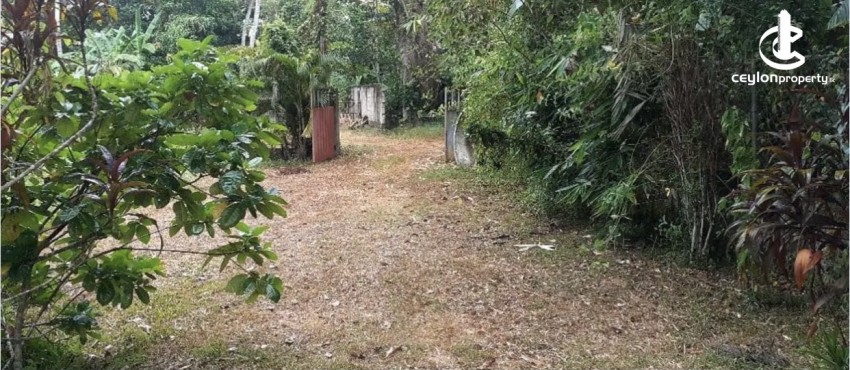 Land for Sale in Kurunegala - Land for sale in hanhamuna - photo 2