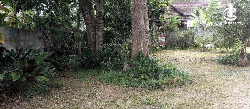 Land for Sale in Kurunegala - Land for sale in hanhamuna - photo 3