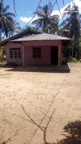 Land for Sale in Kalutara - Land for sale in kalutara - photo 3