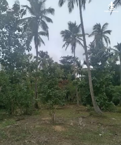Land for Sale in Wariyapola - Land for sale in wariyapola - photo 2
