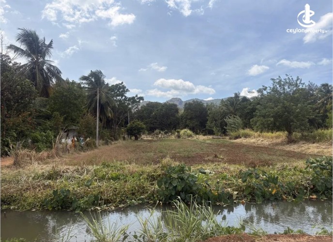 Land for Sale in Dambulla - Land for sale in dambulla - photo 4