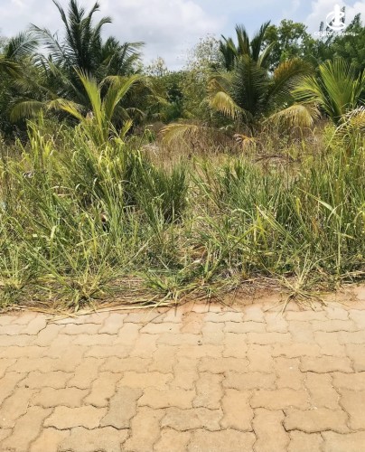 Land for Sale in Mihintale - Land for sale in Mihinthale - photo 1