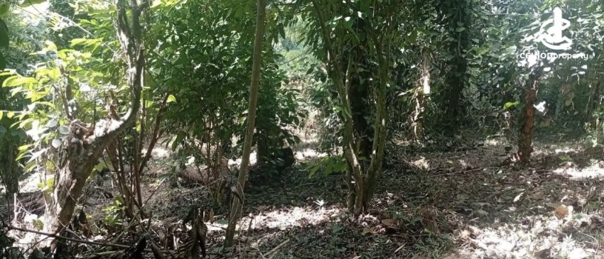 Land for Sale in Matale - Land for sale in matale - photo 2