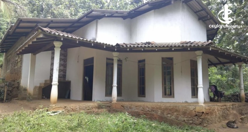 Land for Sale in Matale - Land for Sale in Matale - photo 4