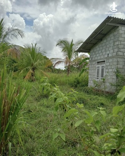 Land for Sale in Anuradhapura - Land for sale in Anuradhapura - photo 2