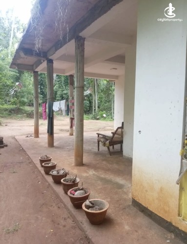 Land for Sale in Kurunegala - Land for sale in kurunagala - photo 5