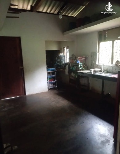Land for Sale in Kurunegala - Land for sale in kurunagala - photo 6