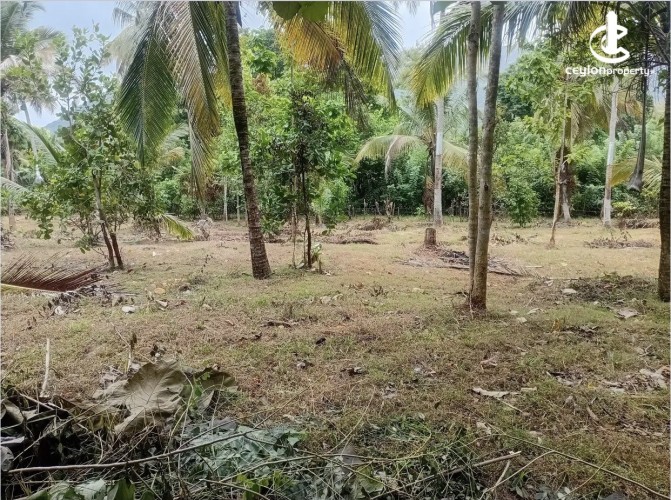 Land for Sale in Ibbagamuwa - Land for Sale in Ibbagamuwa - photo 6