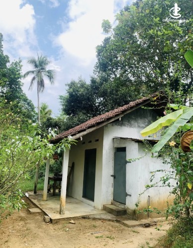 Land for Sale in Beliatta - Land for Sale in Beliatta - photo 3