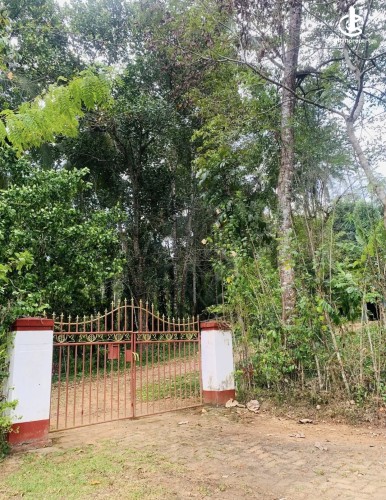 Land for Sale in Beliatta - Land for Sale in Beliatta - photo 4
