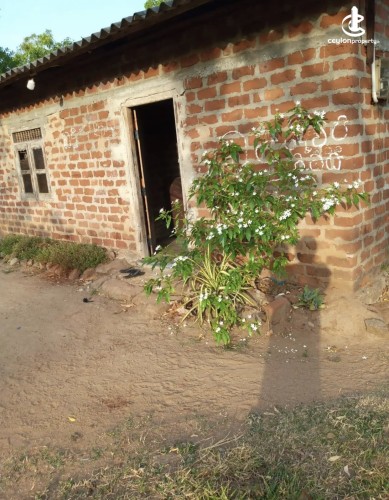 Land for Sale in Anuradhapura - Land for sale in Anuradhapura - photo 2