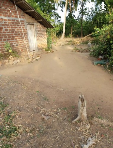 Land for Sale in Anuradhapura - Land for sale in Anuradhapura - photo 3