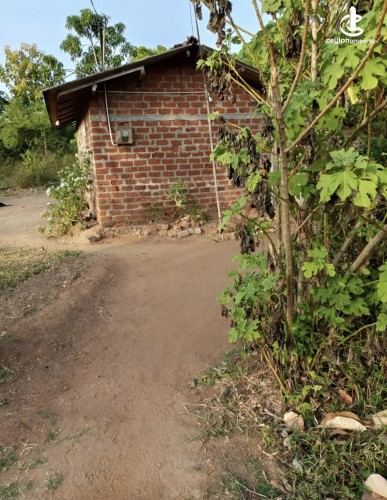 Land for Sale in Anuradhapura - Land for sale in Anuradhapura - photo 4