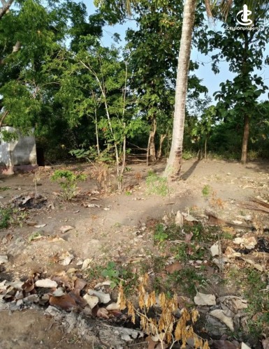 Land for Sale in Anuradhapura - Land for sale in Anuradhapura - photo 5
