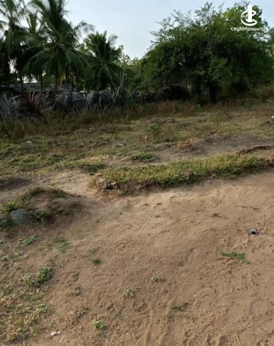 Land for Sale in Anuradhapura - Land for sale in Anuradhapura - photo 6