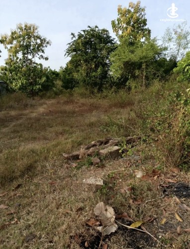 Land for Sale in Anuradhapura - Land for sale in Anuradhapura - photo 7