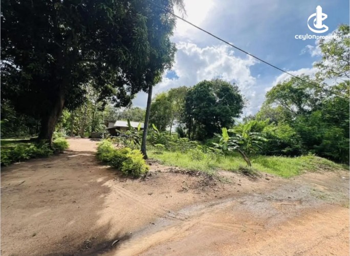 Land for Sale in Anuradhapura - Land for sale in Kekirawa - photo 4