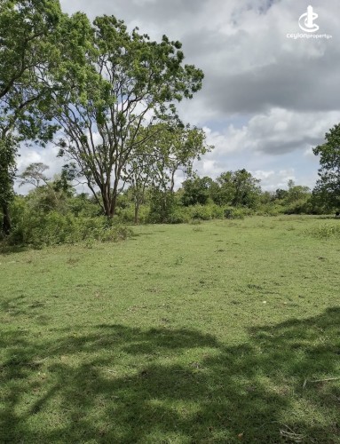 Land for Sale in Matale - Land for Sale in Matale - photo 2