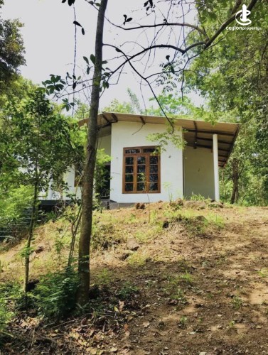 Land for Sale in Matale - Land for Sale in Matale - photo 4