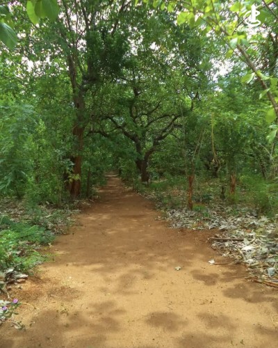 Land for Sale in Matale - Land for Sale in Matale - photo 10